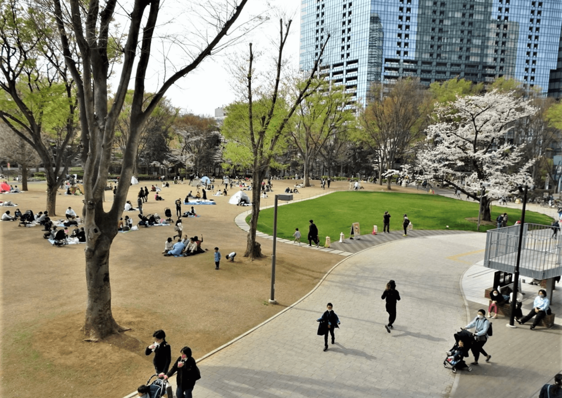 新宿中央公園の写真