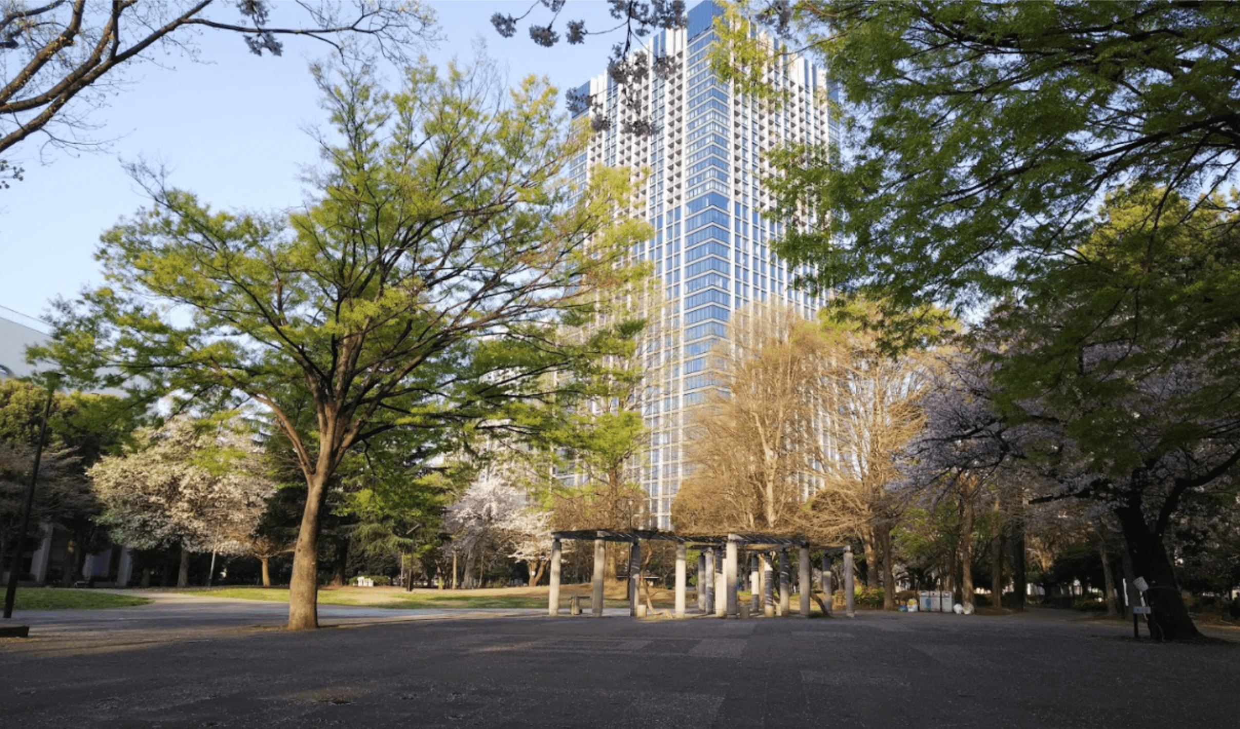 ラ・トゥール新宿ガーデンが見える戸山公園からの写真