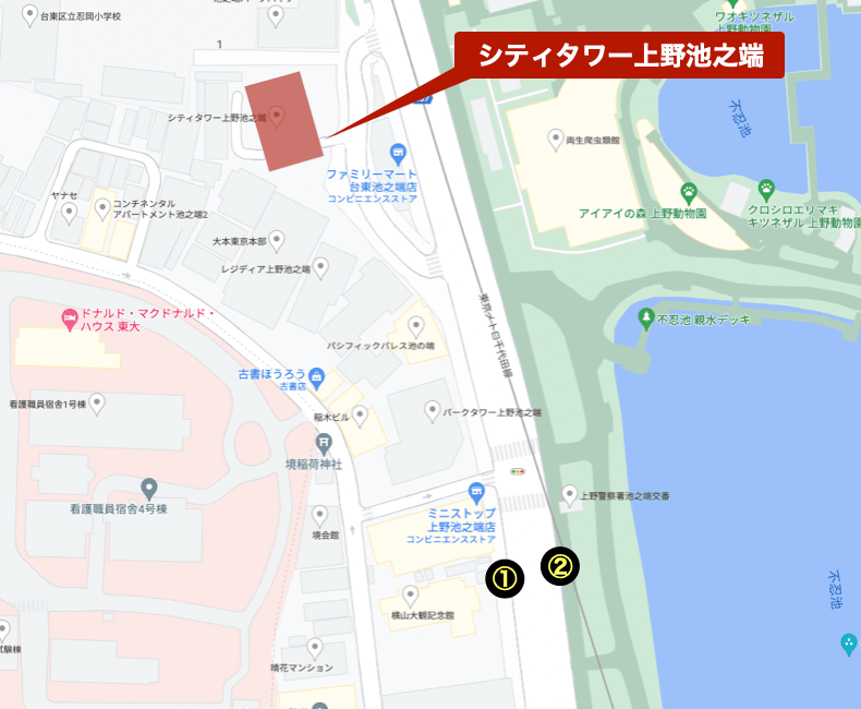 シティタワー上野池之橋周辺のハザードマップ